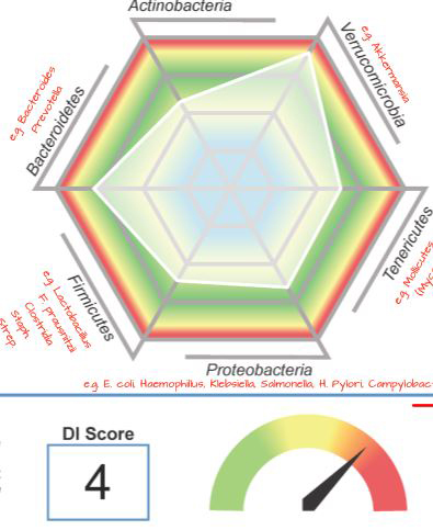 COMPLETE DIGESTIVE STOOL ANALYSIS - Handcrafted Health